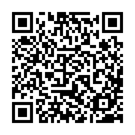 QR code for 11P 385