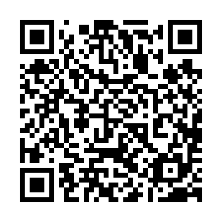 QR code for 11P 695