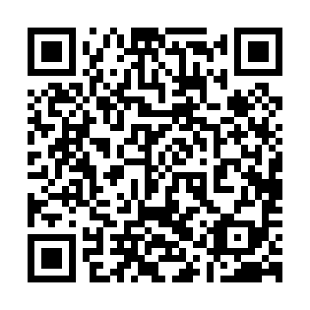 QR code for 11P099