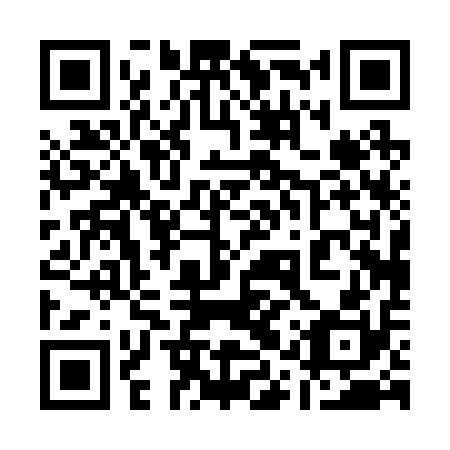 QR code for plate 11P 210