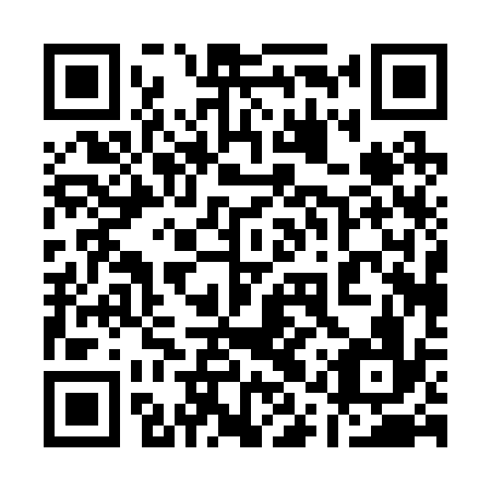QR code for 11P236