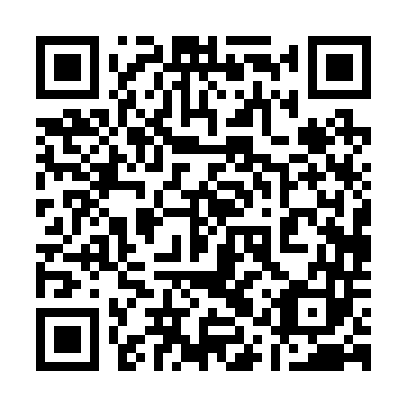 QR code for 11P243