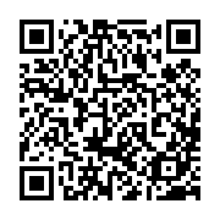 QR code for plate 11P 480