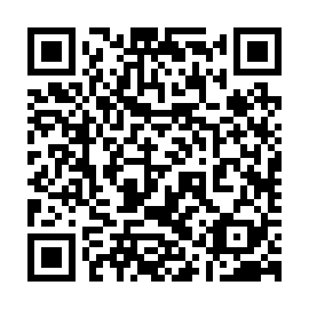QR code for 11R 229