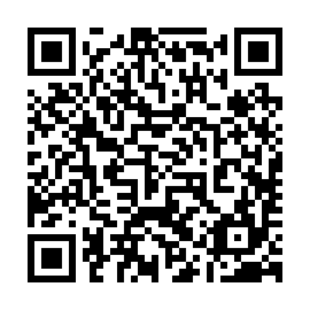 QR code for 11R 294