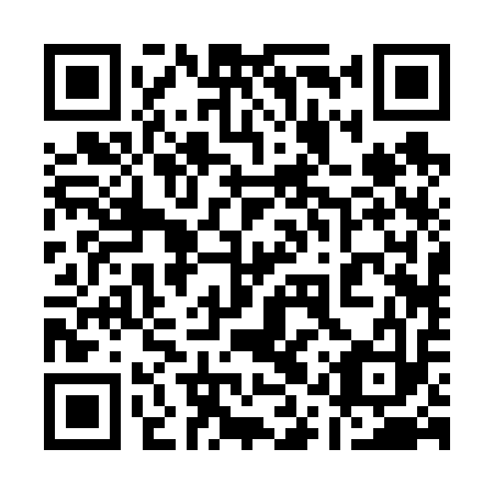 QR code for 11R 613