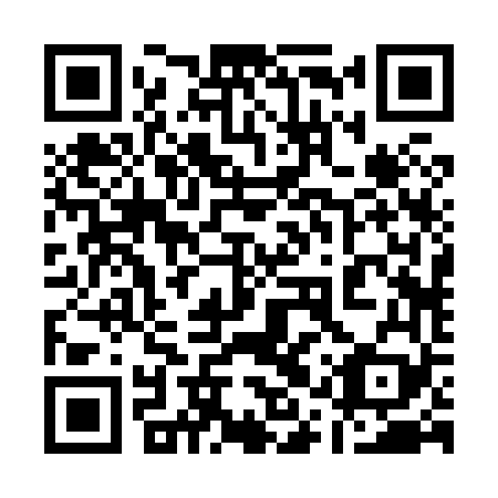 QR code for 11R 869