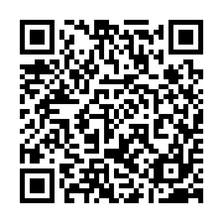 QR code for plate 11S 317