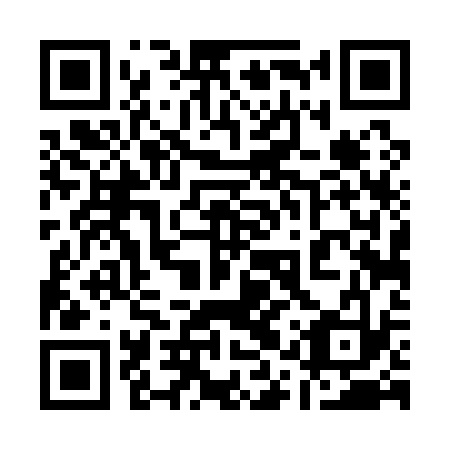 QR code for 11T 133