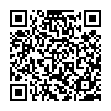 QR code for 11T 437