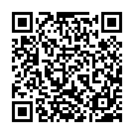 QR code for 11T017