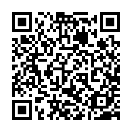 QR code for 11T381