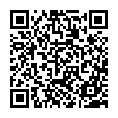 QR code for plate 11T 867