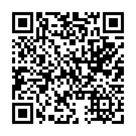 QR code for plate 11V 436
