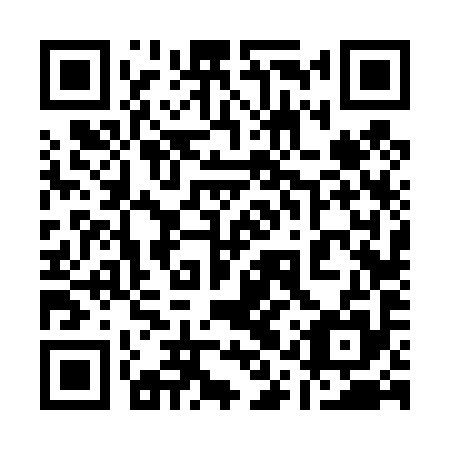 QR code for 11V495
