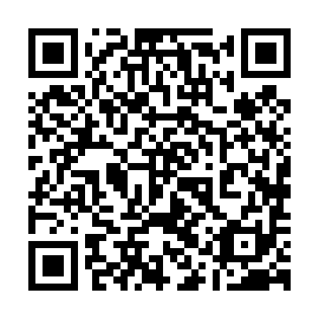 QR code for 11X 491