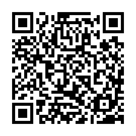 QR code for 11X 795