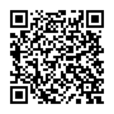 QR code for plate 12G 523