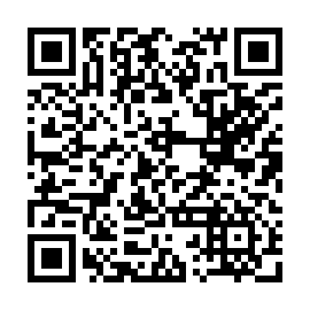 QR code for plate 12H 917