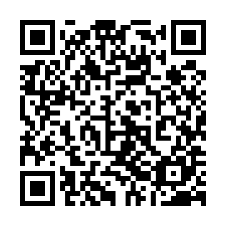 QR code for plate 12M 585