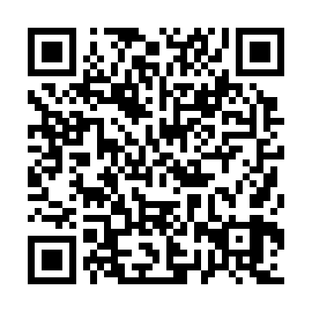 QR code for 12P 369