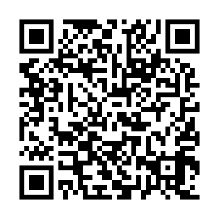 QR code for 12V 919