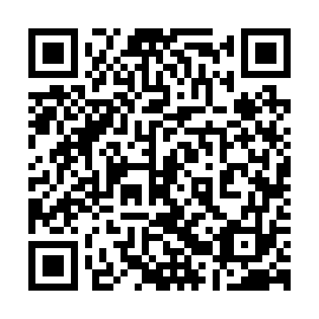 QR code for plate 12V 273