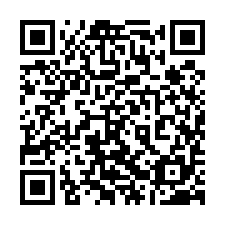QR code for 12Y 595