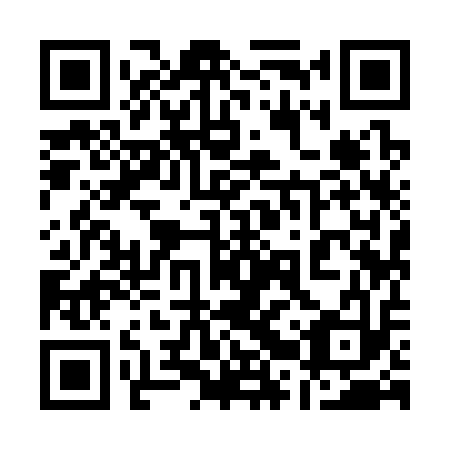 QR code for plate 12Y 313