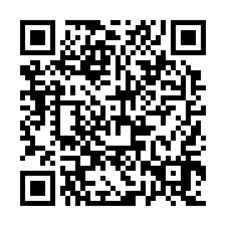 QR code for 12Z 317