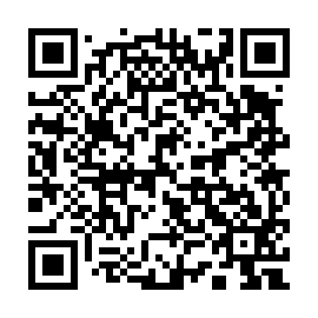 QR code for plate 13C 493