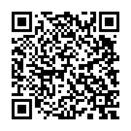 QR code for plate 13D 433