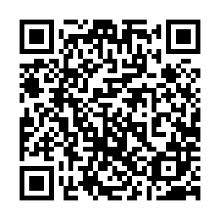 QR code for plate 13D 882