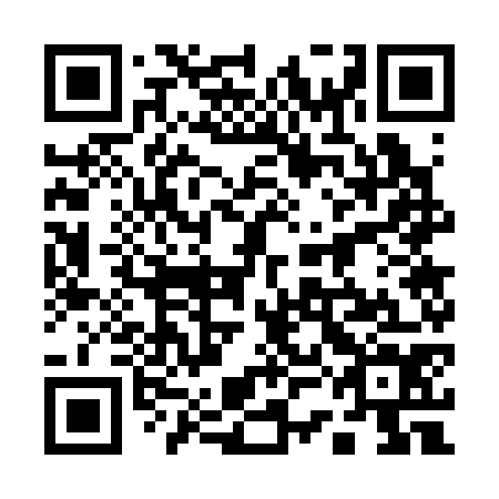 QR code for 13G 374