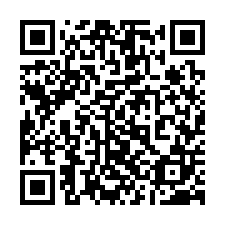QR code for plate 13G 302