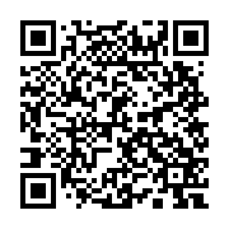 QR code for plate 13G 763