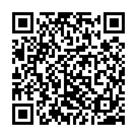 QR code for 13I 533