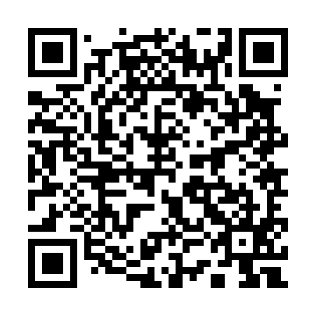 QR code for plate 13J 095