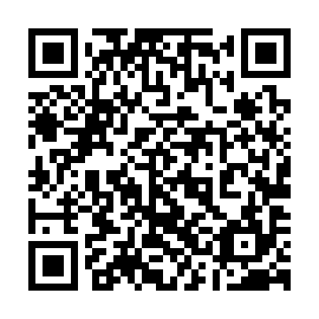 QR code for plate 13L 394
