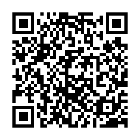 QR code for plate 13L 611