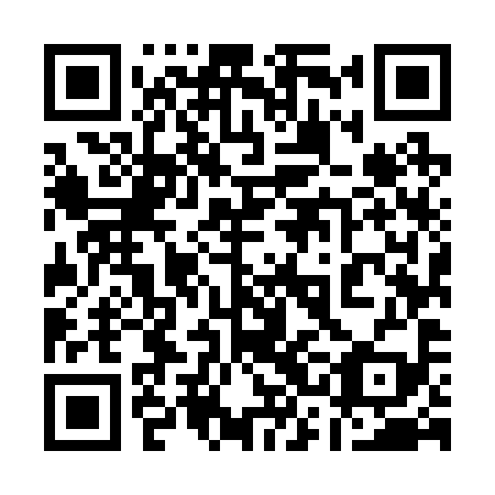 QR code for plate 13M 299