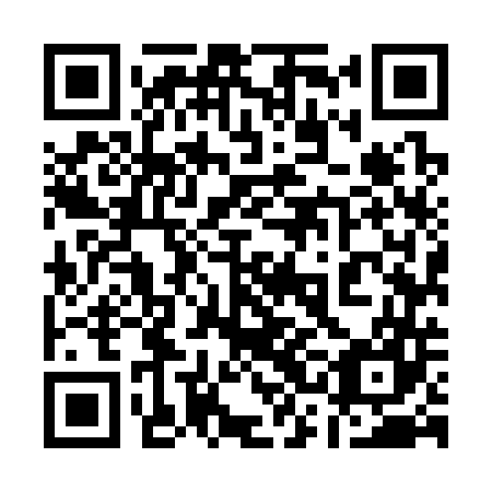 QR code for plate 13M 347