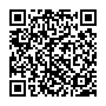 QR code for plate 13M 701