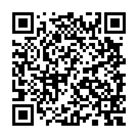 QR code for 13N099