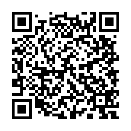QR code for plate 13N 519