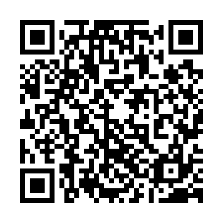 QR code for plate 13N 737