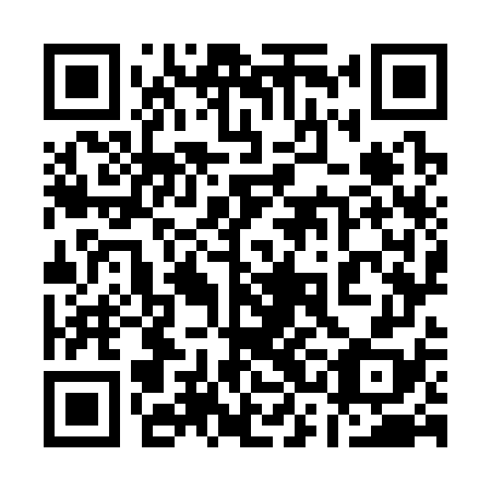 QR code for plate 13O 378