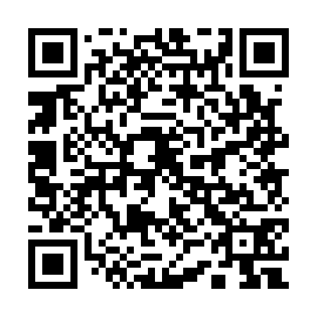 QR code for 13P 170