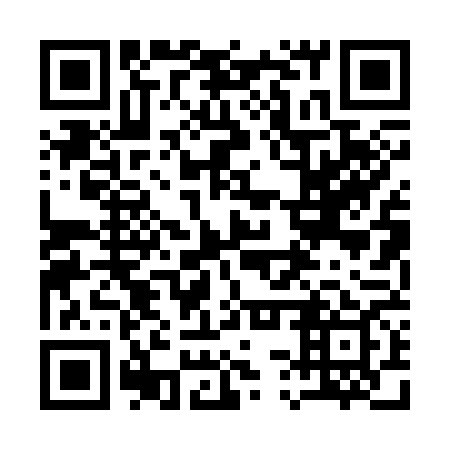 QR code for 13P 369