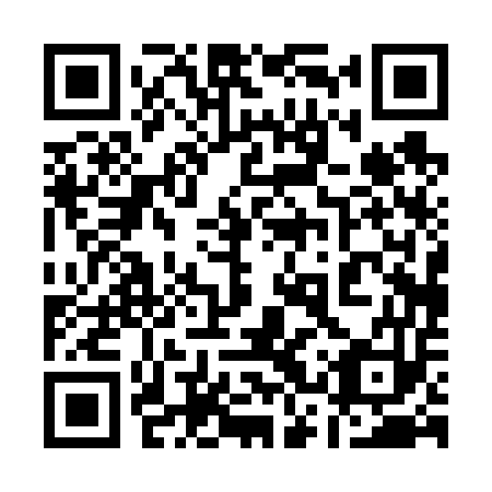 QR code for 13P 653